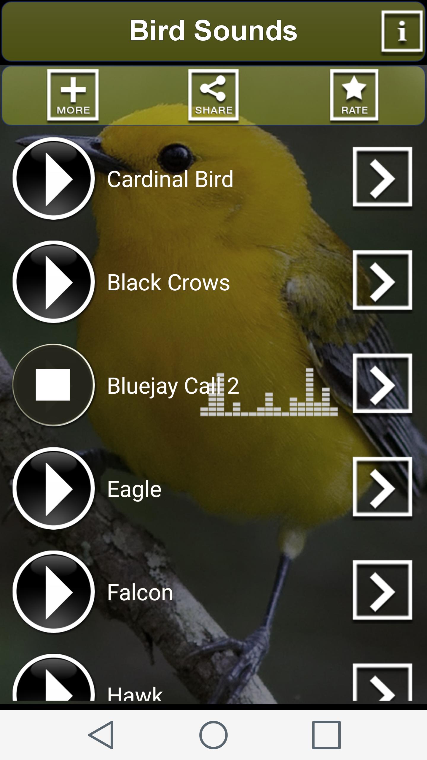 Игра звук птичек. Птицы на андроид. Звуки птиц. Звук на смс птицы. Игры звуки птиц.