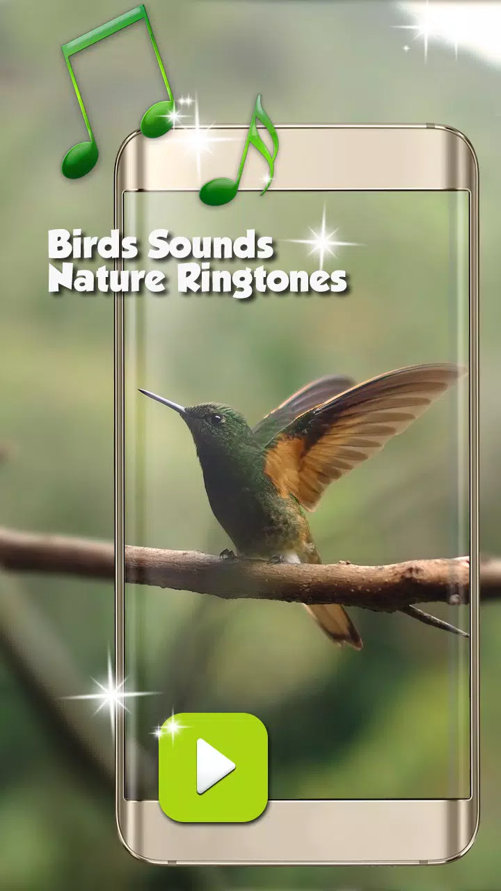 Birds Sounds Nature Ringtones APK for Android Download