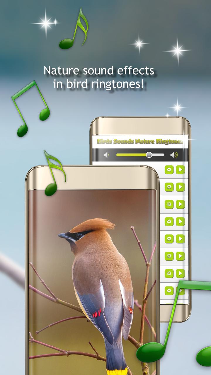Красивые темы для андроид птицы. Звуки птиц. Рингтон птичка. Приложение Bird для андроид. Рингтон bird