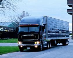 Fond d'écran Freightliner cami capture d'écran 3