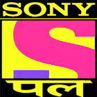 Sony Pal ícone