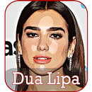 Dua Lipa Songs 2108 APK