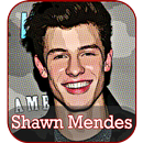 Shawn Mendes Songs 2018 APK