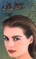 Aakash Bail - Urdu Novel Cartaz