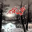 Bachpan Ka December - Novel