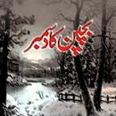 Bachpan Ka December - Novel APK