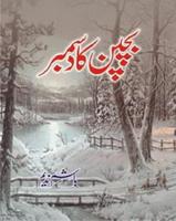 Bachpan Ka December - Novel poster