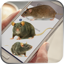 APK Mouse On Screen