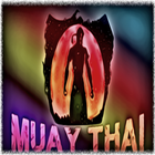 Muay Thai-icoon