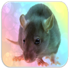 Rat sounds icon