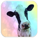 Cow sounds APK