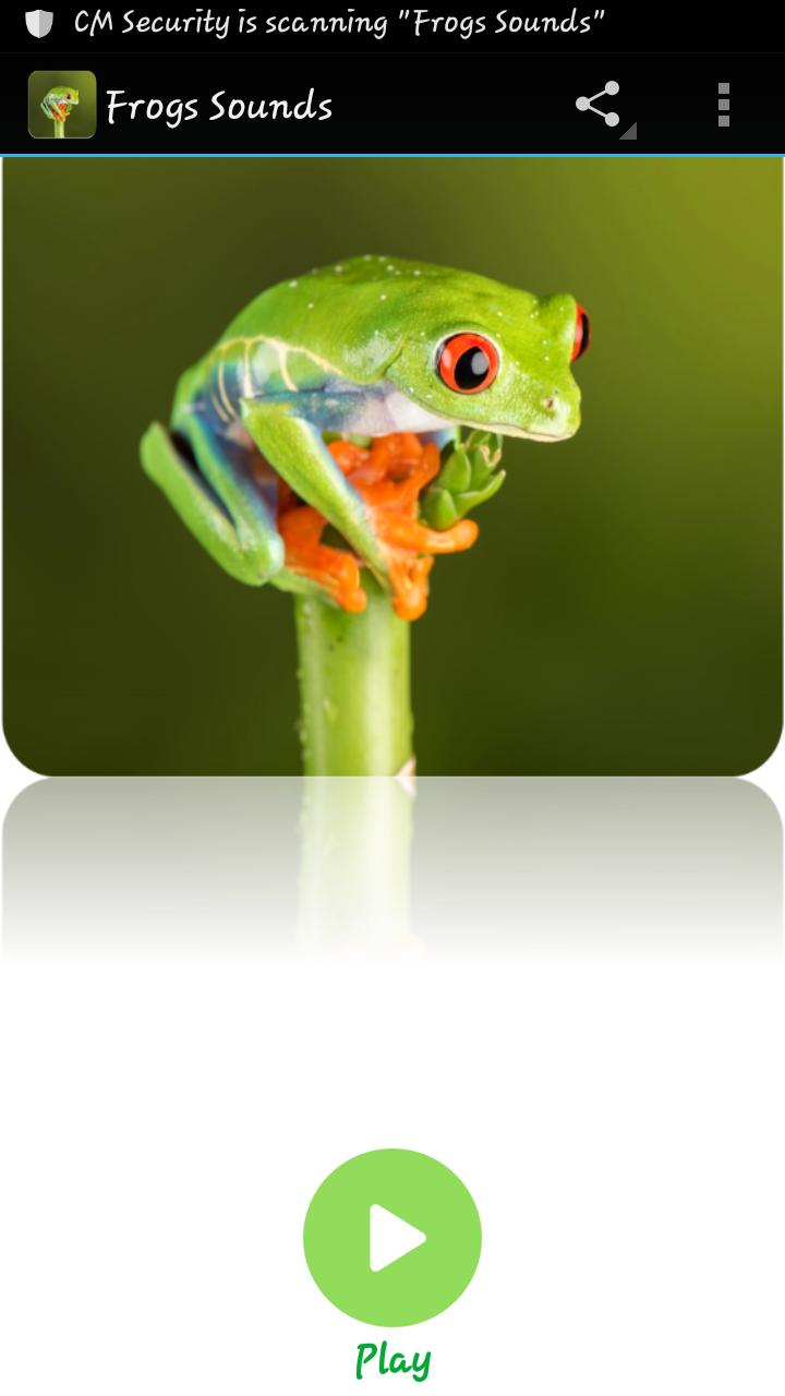 Звук лягушки. Звуки лягушки на телефон. Frog какой звук. Звук лягушки. Frog какой звук.