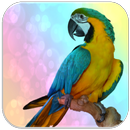 Parrot sounds APK