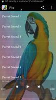 Parrot sounds capture d'écran 1