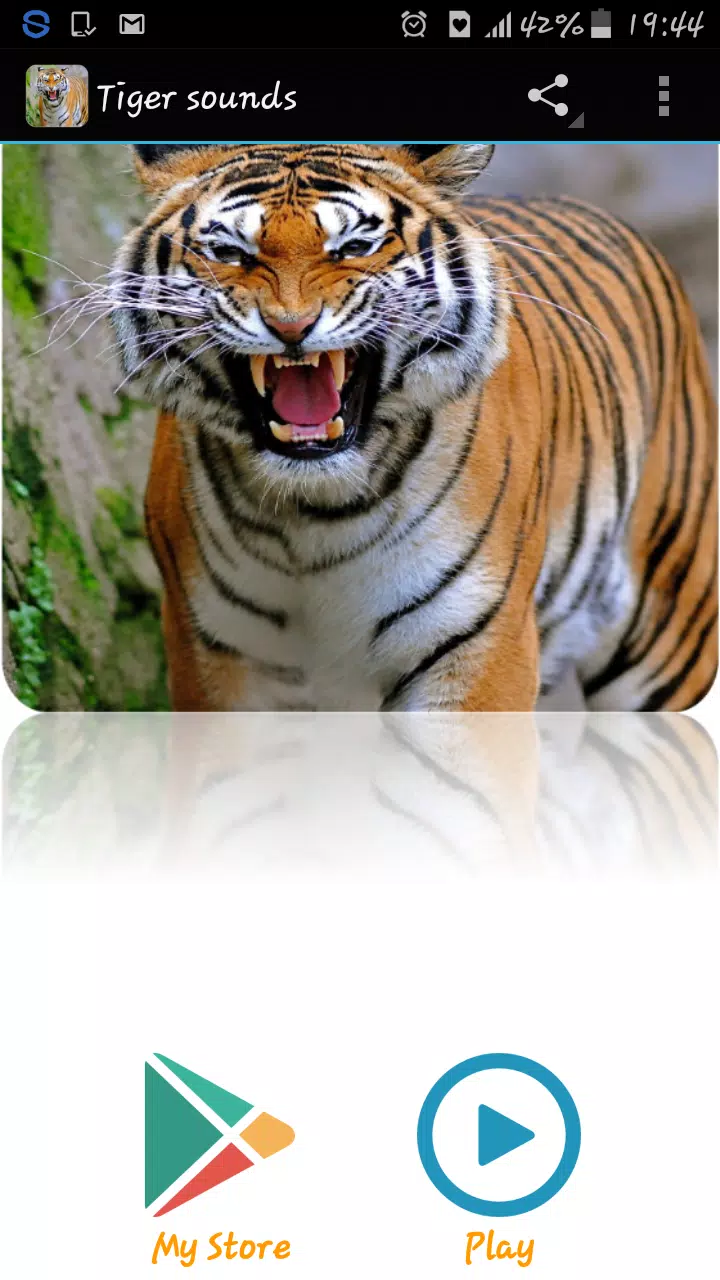 Tiger Sounds - Apps on Google Play