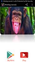 Monkey sounds Affiche