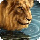 Lion near the water LWP 图标