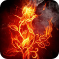 Smoking flower LWP
