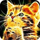 Sparkling kitten LWP icône