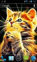 Sparkling kitten LWP Plakat