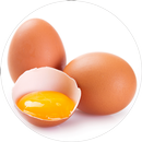 Resep Olahan Telur APK