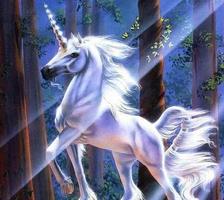 Unicorn 3D Wallpapers-poster