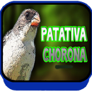 Canto de Patativa Chorona 2018 APK