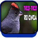 Canto de Tico Tico Rei Cinza Campeao APK