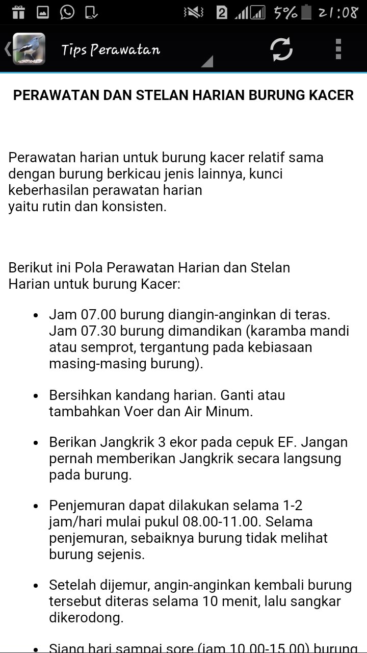 Kicau Kacer Lengkap For Android Apk Download