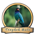Master Kicau Tengkek Khusus