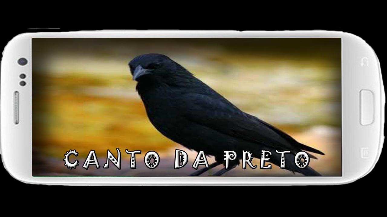 Featured image of post Canto De Passo Preto Para quem gosta de cantar