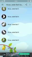 Kicau Jalak Bali Gacor capture d'écran 2
