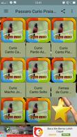 Passaro Curio Praia Completo screenshot 1