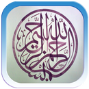 Al Quran Mp3 APK