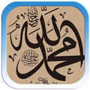 Sholawat Nabi MP3 APK