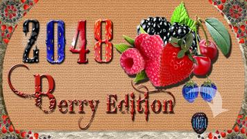 2048 Berry Edição Cartaz