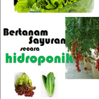 Ebook Hidroponik آئیکن