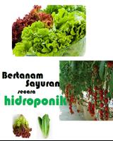 Ebook Hidroponik โปสเตอร์