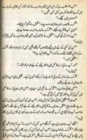 Bewaqoof Funny Urdu Novel 海報