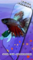 Tema Beta Azul De Los Pescados captura de pantalla 1