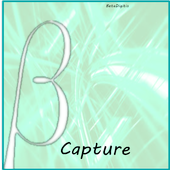 Beta Capture Lite icon