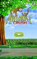 Animal Crush постер