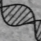 DNA toolkit icône