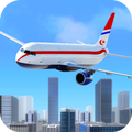 伝説 空 フライト パイロット