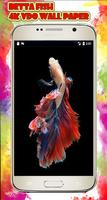 Betta fish 4K wallpaper Iphone style for Android screenshot 2