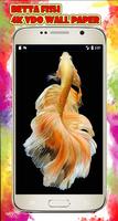 Betta fish 4K wallpaper Iphone style for Android Ekran Görüntüsü 3