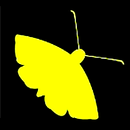 The Moth - True Stories Told Live APK