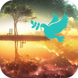 Obituary Quotes Frames