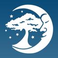 Dreaming Tree