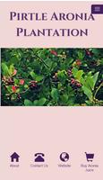 Pirtle Aronia Plantation poster